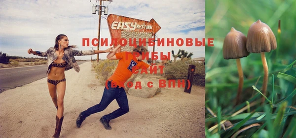 скорость Балахна