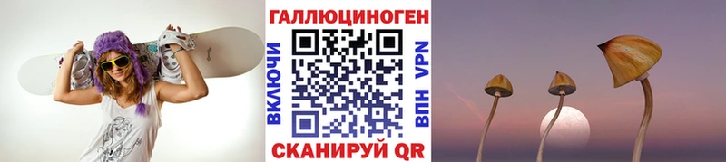 Псилоцибиновые грибы GOLDEN TEACHER  Колпашево 